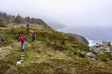 Trekking entlang des East Coast Trail in Neufundland, Kanada - CAVF80628