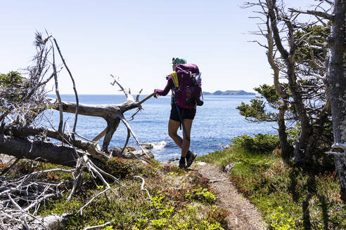 Rucksacktourist lehnt an einem Baum auf dem East Coast Trail - CAVF80636