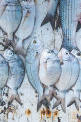 Fischverkauf auf dem Markt im Hafen - CAVF80752