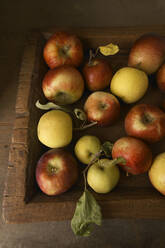 Frisch gepflückte Äpfel in Holzkiste - CAVF80776