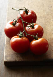 Frische Tomaten am Rebstock - CAVF80810