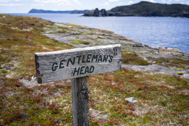 Gentleman's Head Cove auf dem East Coast Trail Neufundland - CAVF80813