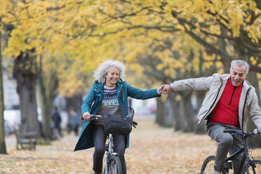 Affectionate senior couple holding hands, bike riding in autumn park - CAIF26370