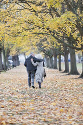 Zärtliches Paar, das sich umarmt und zwischen Bäumen und Blättern im Herbstpark spazieren geht - CAIF26371