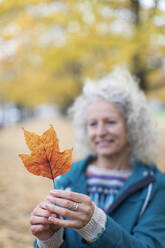 Ältere Frau hält orangefarbenes Herbstblatt im Park - CAIF26378