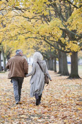 Zärtliches älteres Paar, das sich an den Händen hält und zwischen Bäumen und Blättern im Herbstpark spazieren geht - CAIF26396