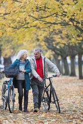 Smiling senior couple walking bicycles among trees and leaves in autumn park - CAIF26401