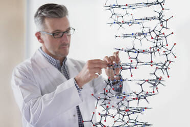 Wissenschaftslehrer beim Zusammenbau eines Molekülmodells im Laborunterricht - CAIF26509
