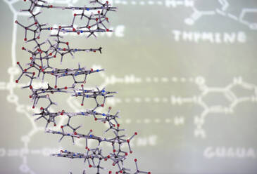 Molecular structure in front of data on projection screen in classroom - CAIF26512