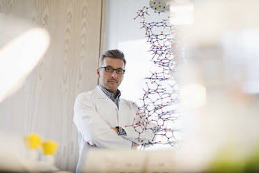 Portrait confident, serious male science teacher standing behind molecular structure in classroom - CAIF26572