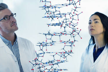Seriöse Wissenschaftler untersuchen hängende Molekularstruktur - CAIF26614
