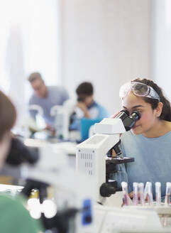 Studentin mit Mikroskop, die ein wissenschaftliches Experiment im Laboratorium durchführt - CAIF26621