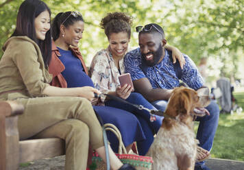 Lächelnde Freunde mit Hund, die im Park ein Smartphone benutzen - CAIF26639