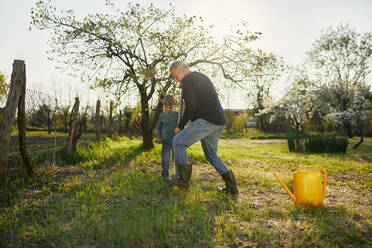 Boy standing by grandfather digging with shovel while gardening - ZEDF03348