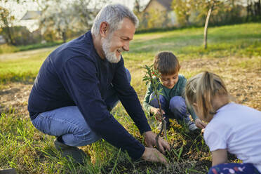 Lächelnder reifer Mann pflanzt Baum mit Enkelkindern im Garten - ZEDF03353