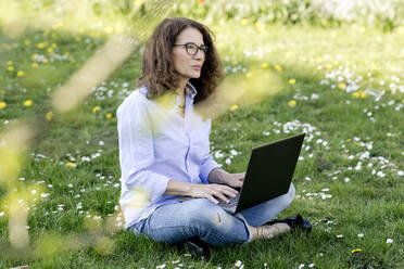 Frau sitzt auf einer Wiese und benutzt einen Laptop - FLLF00455