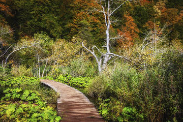 Kroatien, Spaziergang durch üppiges Herbstlaub im Nationalpark Plitvicer Seen - ABOF00521