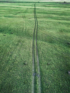 Luftaufnahme einer grünen Wiese mit einem Fahrrad, das auf der Wiesenstraße liegt, die zum Horizont führt, Rjasan, Russland. - AAEF08078
