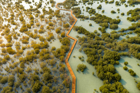 Luftaufnahme von oben des Jubail Mangrove Park in Abu Dhabi, Vereinigte Arabische Emirate - AAEF08094