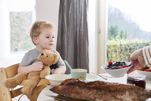 Porträt eines kleinen Jungen, der mit einem Teddybären am Frühstückstisch sitzt - FSF01038
