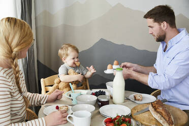 Kleiner Junge sitzt mit seinen Eltern am Frühstückstisch - FSF01042