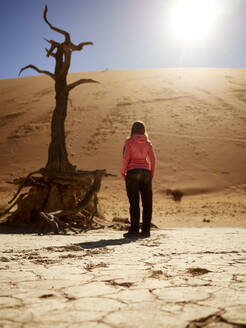 Frau und ein Baum in der Wüste, Deadvlei, Namibia - VEGF02089