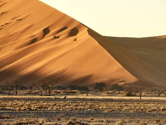 Sonne trifft auf den Sand einer Düne, Sossusvlei, Namibia - VEGF02103