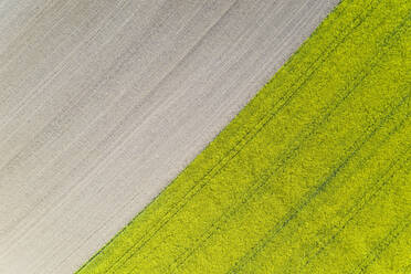 Deutschland, Baden-Württemberg, Backnang, Luftaufnahme vom Rand eines Rapsfeldes im Frühjahr - WDF05981