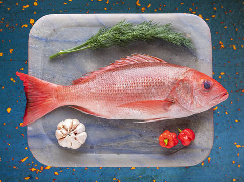 Tray with raw red snapper stock photo