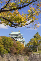 Burg Nagoya, Nagoya, Honshu, Japan, Asien - RHPLF14560