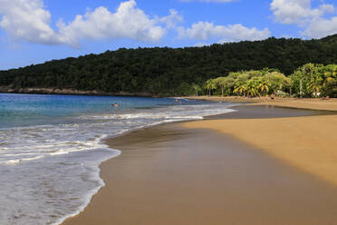 Tropischer Strand Anse de la Perle, Palmen, goldener Sand, blaues Meer, Death In Paradise Location, Deshaies, Guadeloupe, Leeward Islands, Westindien, Karibik, Mittelamerika - RHPLF14595