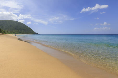 Tropischer Strand Grande Anse, Palmen, blaues Meer, goldener Sand, Deshaies, Basse Terre, Guadeloupe, Inseln unter dem Winde, Westindische Inseln, Karibik, Mittelamerika - RHPLF14596