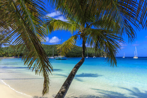 Atemberaubende Saltwhistle Bay, Yachten, weißer Sandstrand, blaues Meer, überhängende Palmen, Mayreau, Grenadinen, St. Vincent und die Grenadinen, Inseln über dem Winde, Westindische Inseln, Karibik, Mittelamerika, lizenzfreies Stockfoto