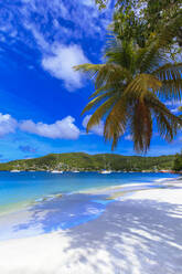 Ruhige Karibik, Palmen am Meeresufer, schönes Port Elizabeth, Admiralty Bay, Bequia, Die Grenadinen, St. Vincent und die Grenadinen, Inseln über dem Winde, Westindien, Karibik, Mittelamerika - RHPLF14602