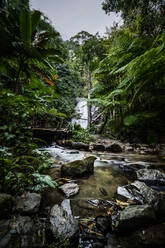 Wachiratharn-Wasserfall, Doi Inthanon National Park, Chiang Mai, Thailand, Südostasien, Asien - RHPLF14627