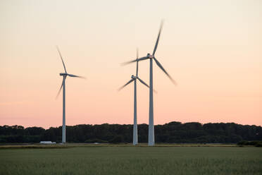 Windmühlen in Bewegung auf grasbewachsenen Feld gegen klaren Himmel bei Sonnenuntergang - MASF17902