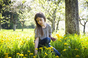 Portrait of girl picking dandelions on a meadow - LVF08863