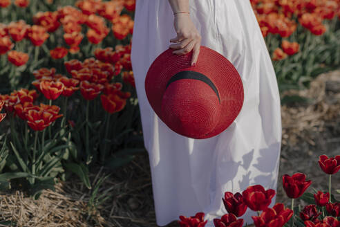 Crop view of woman in a tulip field holding red straw hat - OGF00345