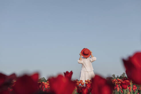 Woman dressed in white standing in tulip field covering face with her hat - OGF00355