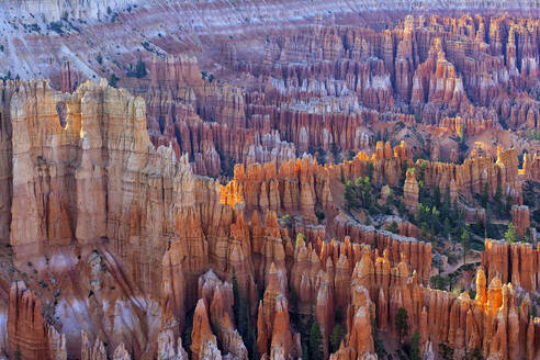 USA, Utah, Blick auf den Bryce Canyon in der Morgendämmerung - DSGF02023