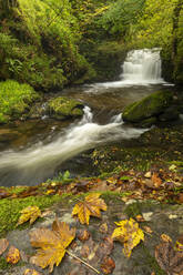 Wasserfälle am Hoar Oak Water bei Watersmeet im Herbst, Exmoor National Park, Somerset, England, Vereinigtes Königreich, Europa - RHPLF14668