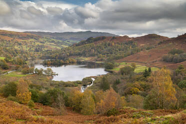 Autumn colours surrounding Rydal Water in the Lake District National Park, UNESCO World Heritage Site, Cumbria, England, United Kingdom, Europe - RHPLF14674