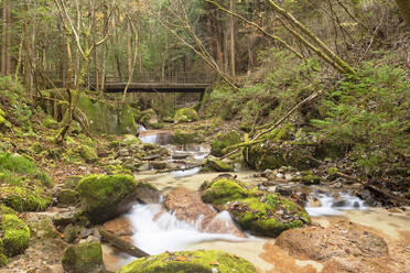 Bach im Wald am Nakasendo-Weg, Magome, Präfektur Gifu, Honshu, Japan, Asien - RHPLF14707