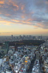 View of Shinjuku skyline and downtown at sunset, Tokyo, Honshu, Japan, Asia - RHPLF14716