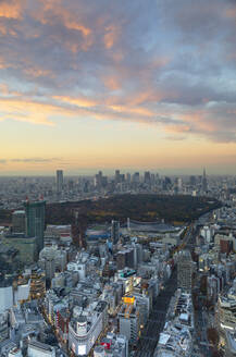 Blick auf die Skyline von Shinjuku und das Stadtzentrum bei Sonnenuntergang, Tokio, Honshu, Japan, Asien - RHPLF14716