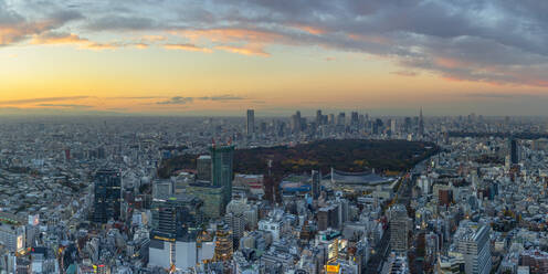 Blick auf die Skyline von Shinjuku und das Stadtzentrum bei Sonnenuntergang, Tokio, Honshu, Japan, Asien - RHPLF14717