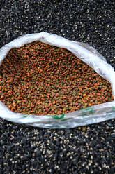 Goji-Beeren, schwarz und rot, zum Verkauf auf dem Shazhou-Straßenmarkt, Dunhuang, Gansu, China, Asien - RHPLF14727