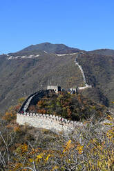 Great Wall of China, Mutianyu section, looking west towards Jiankou, UNESCO World Heritage Site, Beijing, China, Asia - RHPLF14745