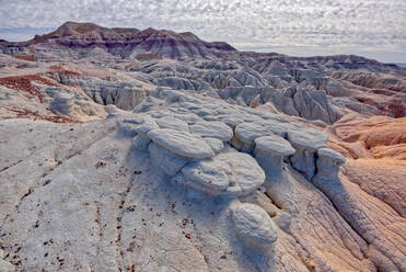 Mushroom shaped formations along the Blue Forest Trail in Petrified Forest National Park, Arizona, United States of America, North America - RHPLF14874