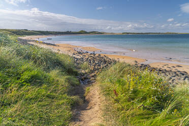 Beach, Embleton Bay, Northumberland, England, United Kingdom, Europe - RHPLF14968